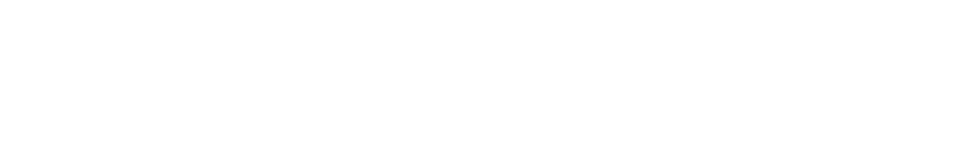 NEWBOAT